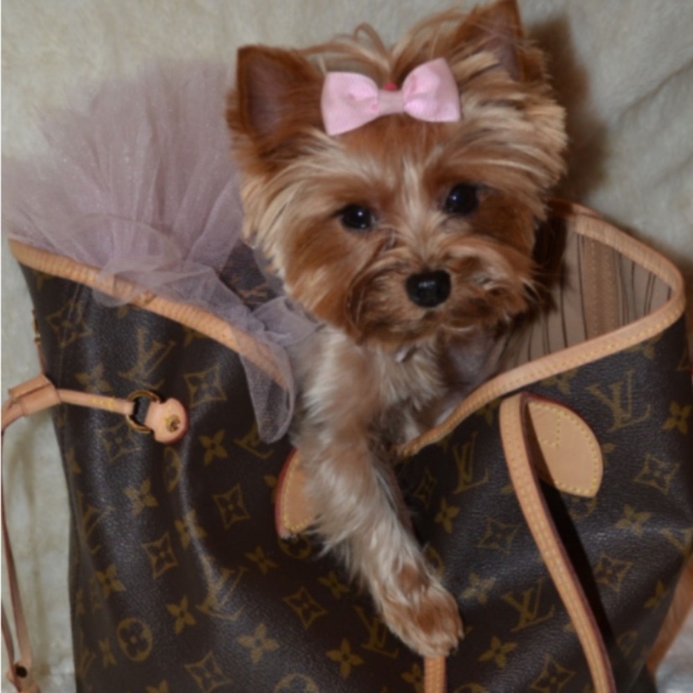 Doggie  bows— handmade(15)